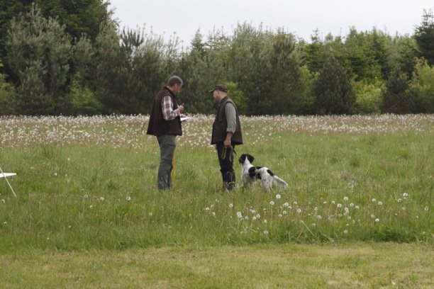 Afslutning p&#229; hundetr&#230;ning i Herborg-Videb&#230;k Jagtforening.