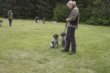 Afslutning på hundetræning i Herborg-Videbæk Jagtforening.