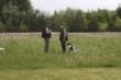 Afslutning på hundetræning i Herborg-Videbæk Jagtforening.